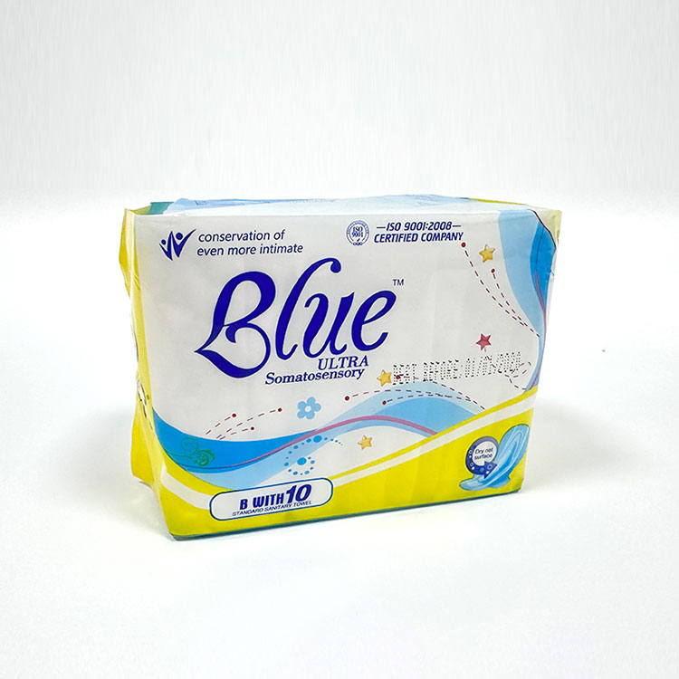 How Do Regular Sanitary Napkins Enhance Comfort and Hygiene During Menstruation?