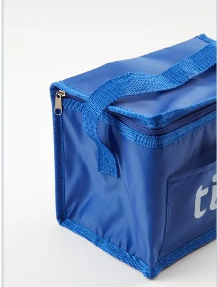 Custom Non-Woven Isothermal Large Ice Cooler Bag/ Insulated Aluminium Foil PP Non Woven Soft Lunch Picnic Foldable Cooler Bags