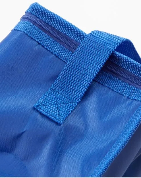 Custom Non-Woven Isothermal Large Ice Cooler Bag/ Insulated Aluminium Foil PP Non Woven Soft Lunch Picnic Foldable Cooler Bags