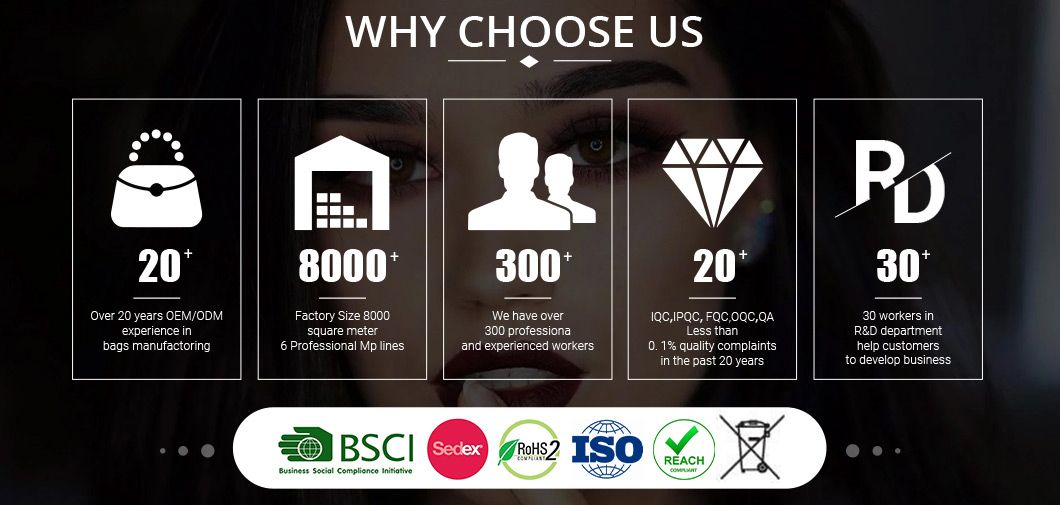 Dating, Working Place, Shopping, Travelling MOQ Ladies Handbag Shoulder Bag