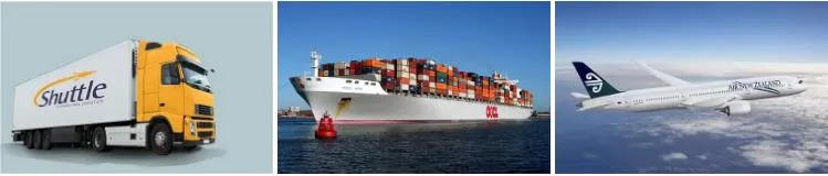 Disposable Non-Woven Dustproof Strip Cap