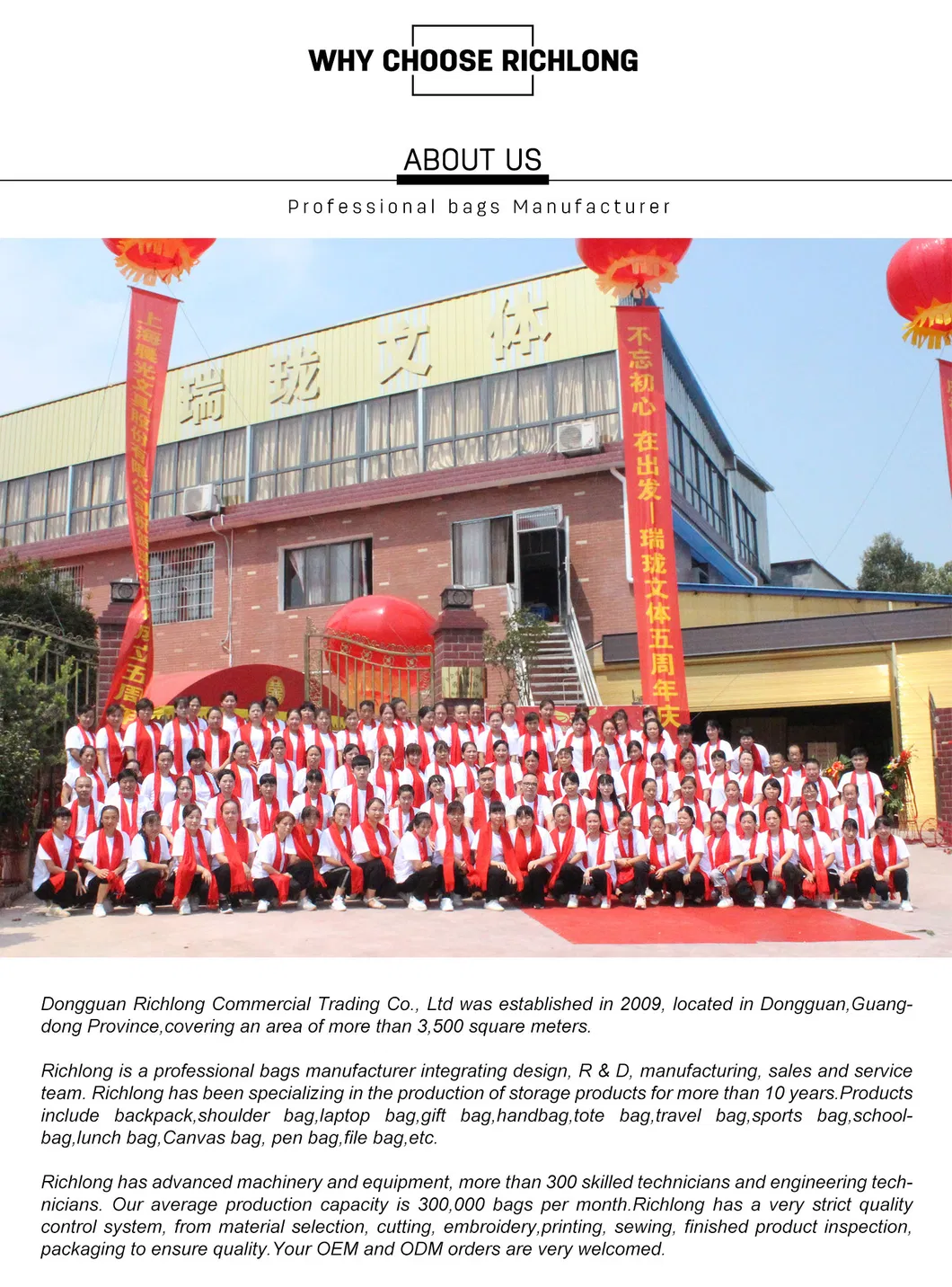 Hot Product Big Capacity Movie Concert Cosmetic Mesh Tote Bag