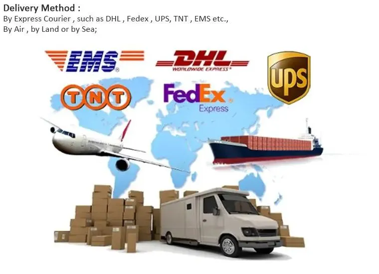 Pop Fashion Designer 2021 New Style Tote Bag Shopping Bag Mommy Bag