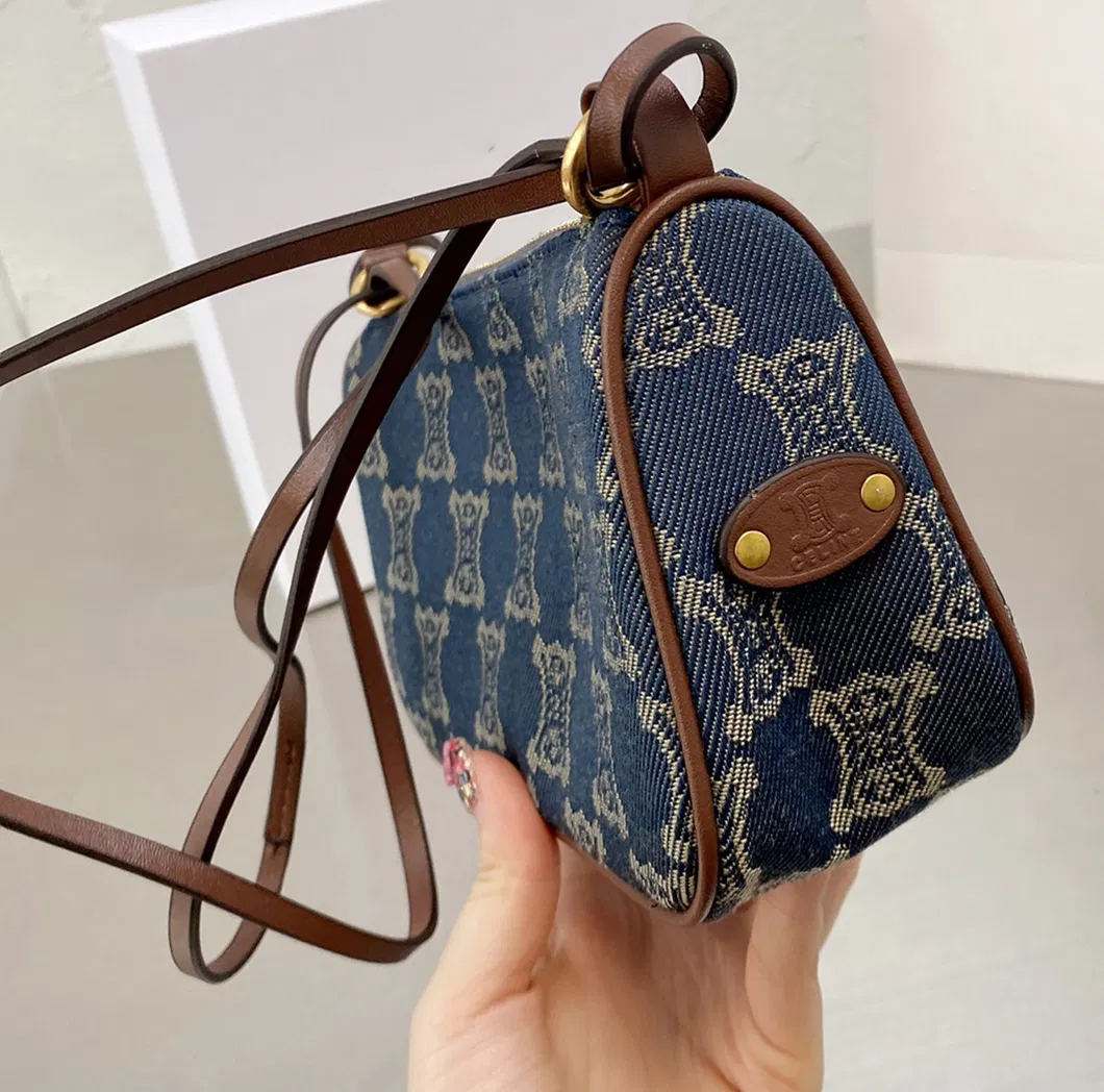 Underarm Bag for Women Handbag Retro Canvas Presbyopia Lady One Shoulder Bag